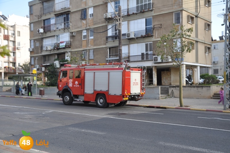 jotha kazeb 0227 (6).JPG